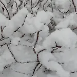 Maatilamatkailu Jaenisvaara