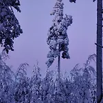Maatilamatkailu Jaenisvaara Kolinkylä