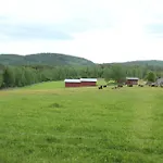 Maatilamatkailu Jaenisvaara בקתה Kolinkylä