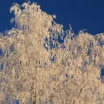 Maatilamatkailu Jaenisvaara * Kolinkylä