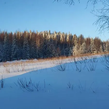 Maatilamatkailu Jaenisvaara Шале *