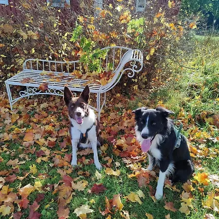 Horská chata Maatilamatkailu Jaenisvaara