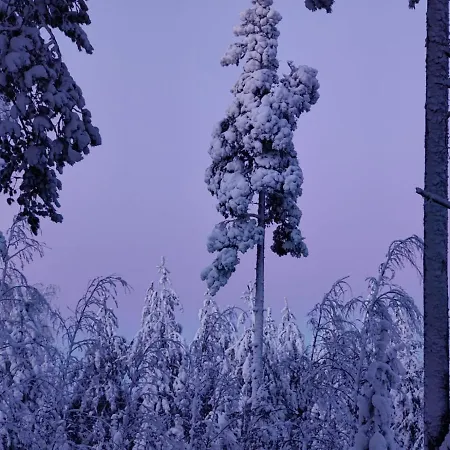 Maatilamatkailu Jaenisvaara Kolinkylä