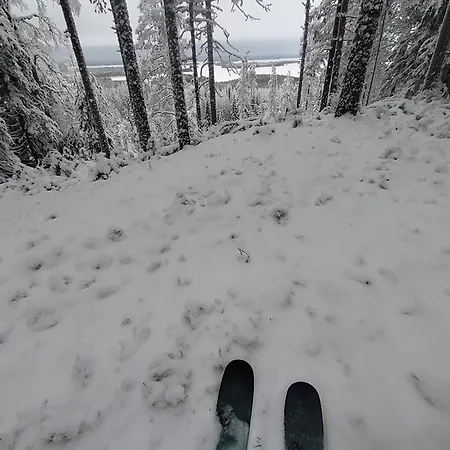 兔子出没农家乐 木屋