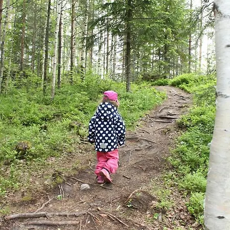 Maatilamatkailu Jaenisvaara