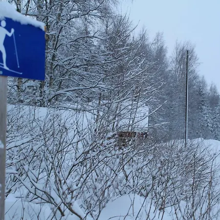Maatilamatkailu Jaenisvaara * Kolinkylä