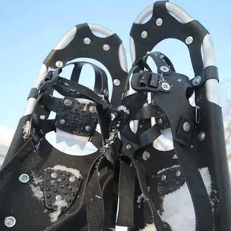 Maatilamatkailu Jaenisvaara Chalet Koli (Lieksa)