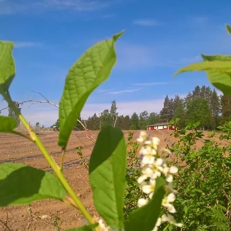 Maatilamatkailu Jaenisvaara * Kolinkylä