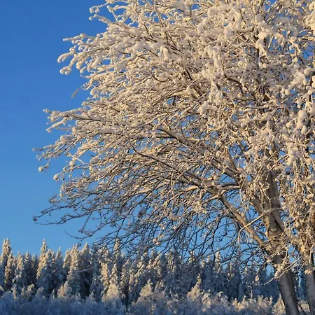 Maatilamatkailu Jaenisvaara Horská chata