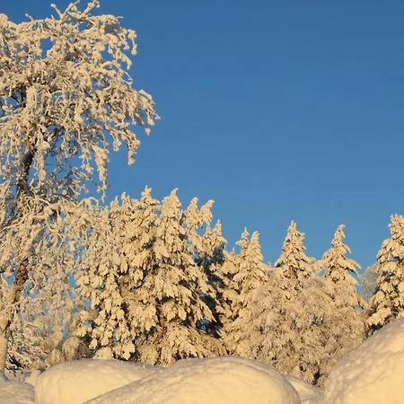 Horská chata Maatilamatkailu Jaenisvaara