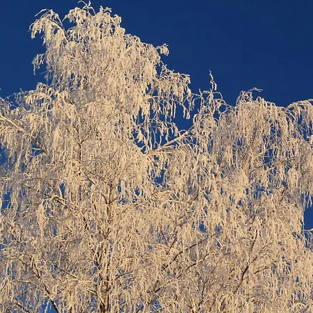 Maatilamatkailu Janisvaara * Kolinkylä