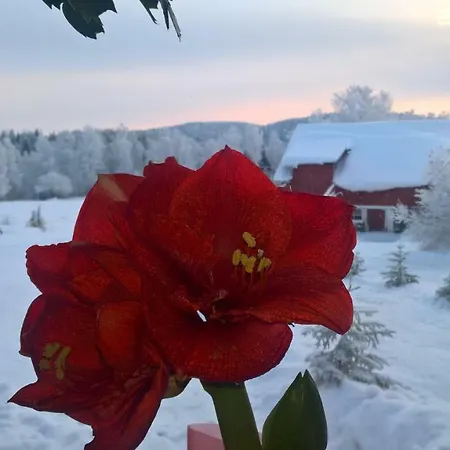 Maatilamatkailu Janisvaara شاليه *