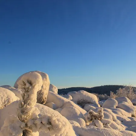 Maatilamatkailu Jaenisvaara *