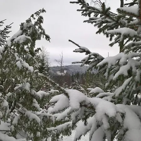 Horská chata Maatilamatkailu Jaenisvaara *