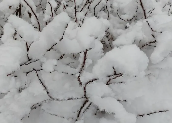 兔子出没农家乐