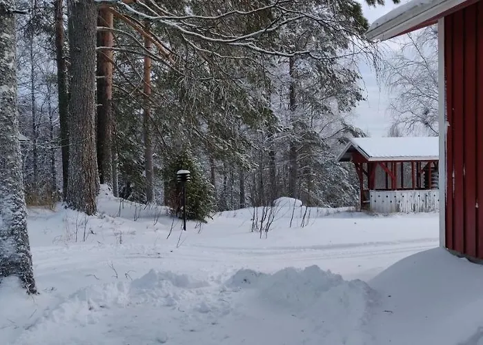 兔子出没农家乐