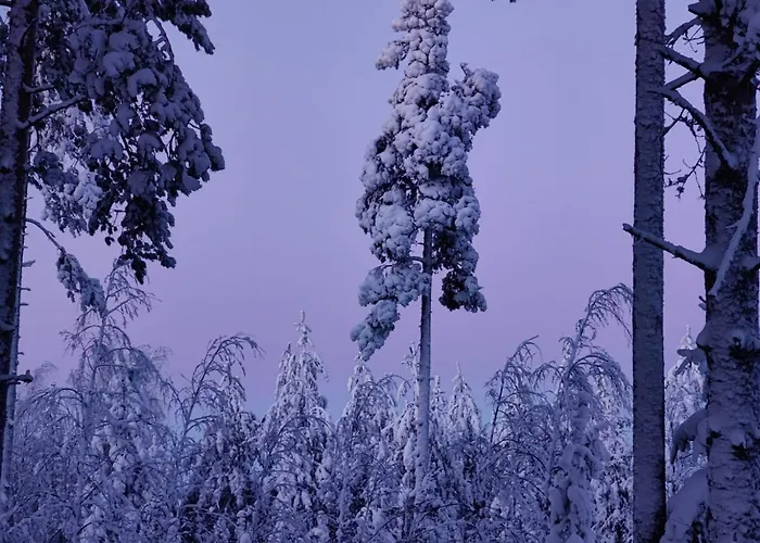 兔子出没农家乐 Kolinkylä