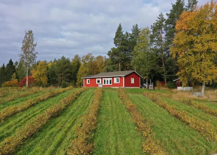 兔子出没农家乐 木屋 Kolinkylä