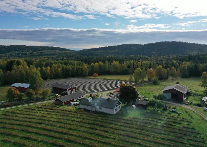 兔子出没农家乐 木屋 *