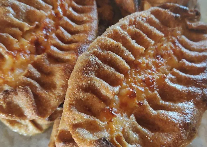 兔子出没农家乐 木屋