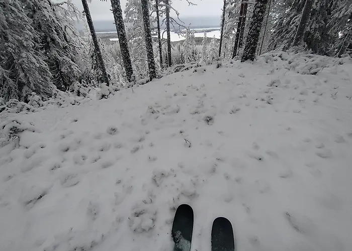 兔子出没农家乐 木屋