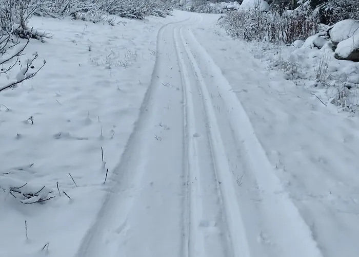 木屋 兔子出没农家乐