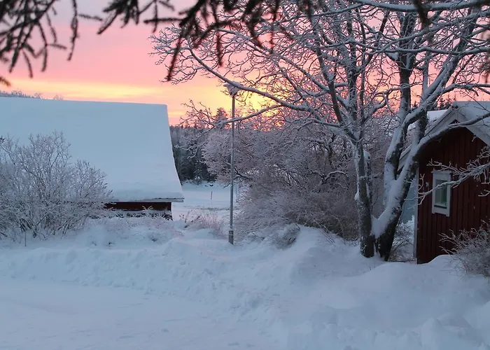 兔子出没农家乐 *