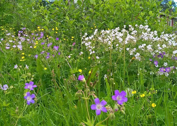 兔子出没农家乐 * Kolinkylä