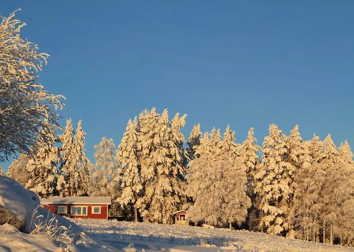 木屋 兔子出没农家乐 Kolinkylä