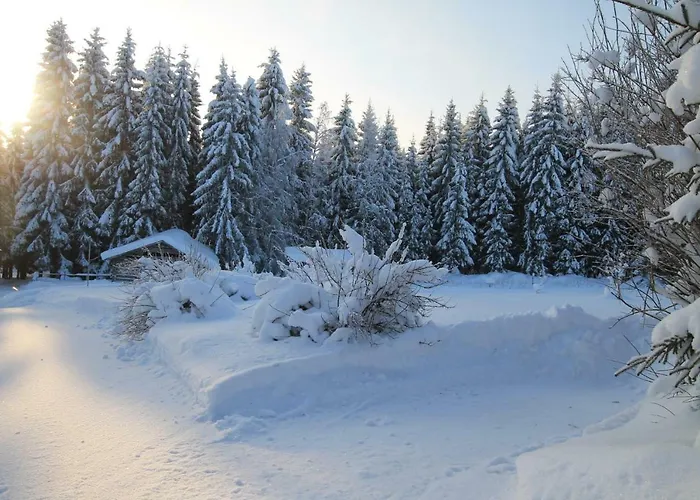 木屋 兔子出没农家乐 *