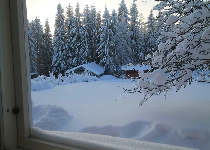 木屋 兔子出没农家乐