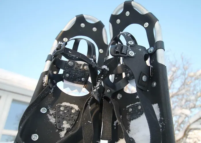 兔子出没农家乐 木屋 Kolinkylä