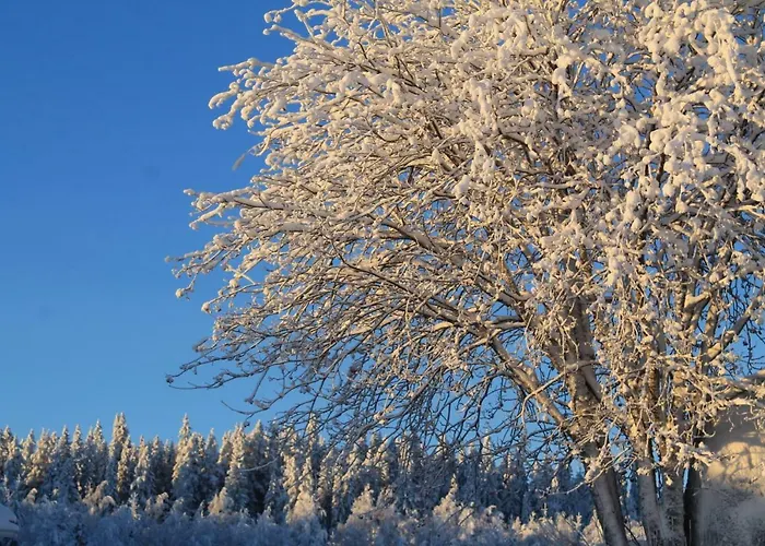 兔子出没农家乐 木屋