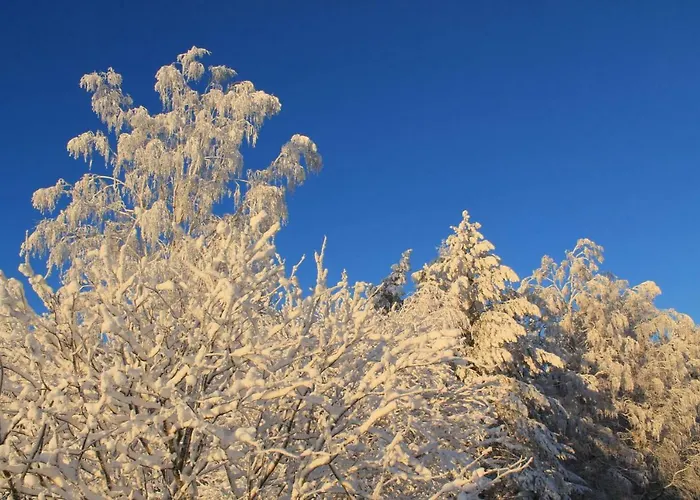 兔子出没农家乐 木屋