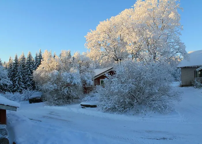 兔子出没农家乐 *