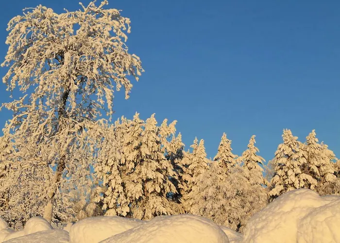 木屋 兔子出没农家乐