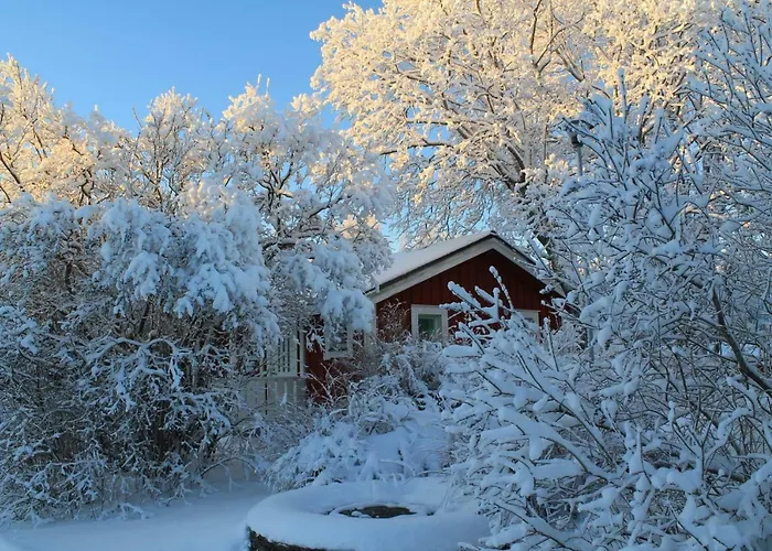 兔子出没农家乐 Kolinkylä