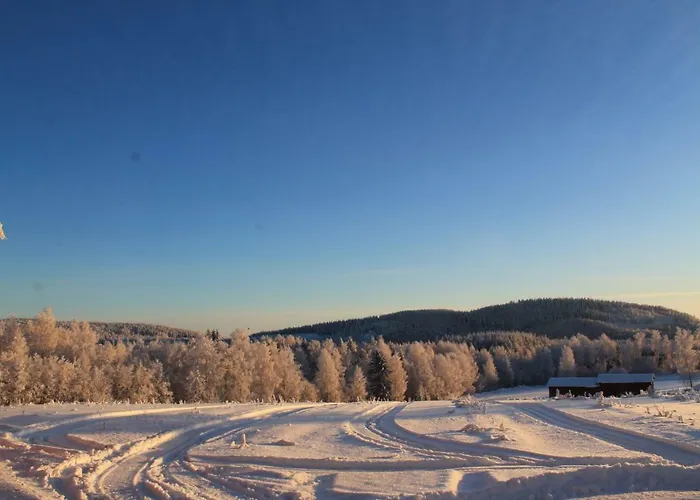 木屋 兔子出没农家乐 *