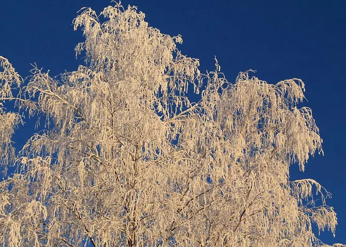 兔子出没农家乐 * Kolinkylä