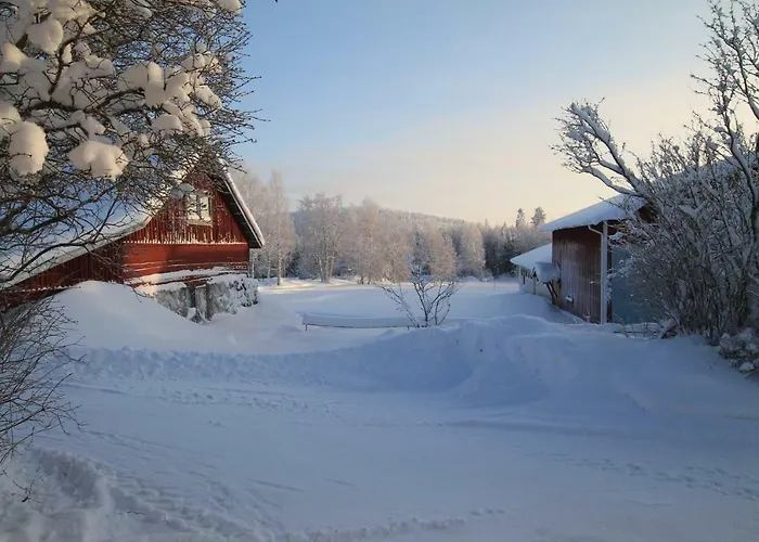 兔子出没农家乐